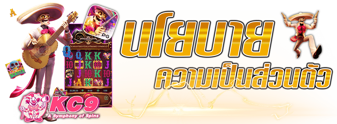 นโยบายความเป็นส่วนตัว